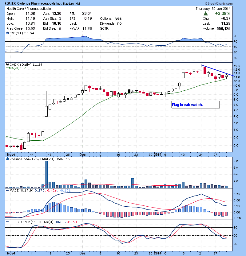 CADX Flag break watch.