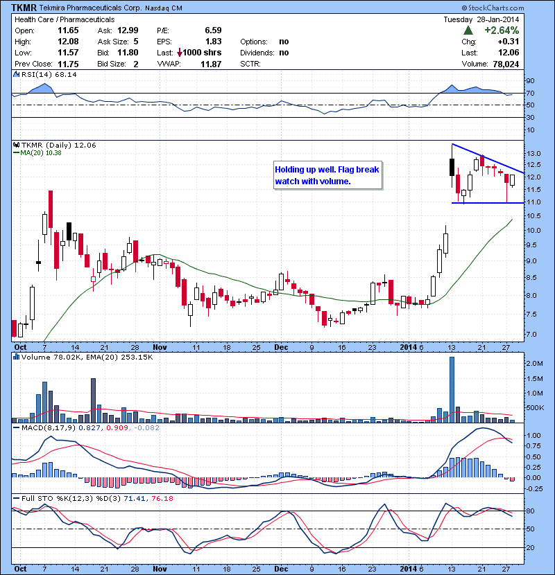 TKMR Holding up well. Flag break watch with volume.
