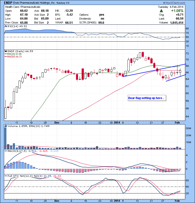 ENDP Bear flag setting up here .