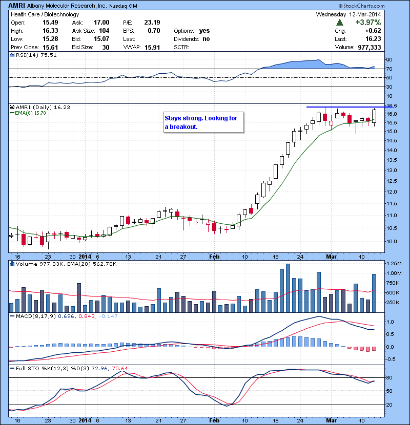 AMRI Stays strong. Looking for a breakout.