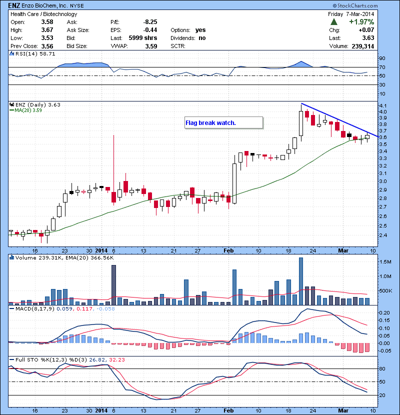ENZ Flag break watch.