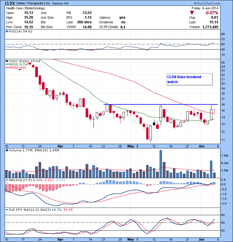 CLDX Base breakout watch.