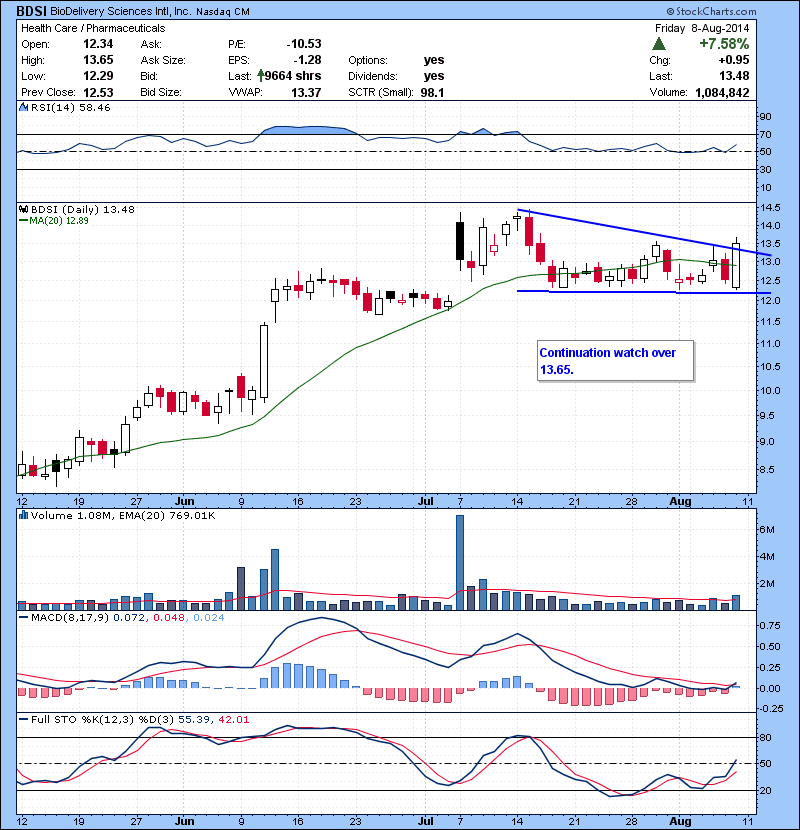 BDSI Continuation watch over 13.65.
