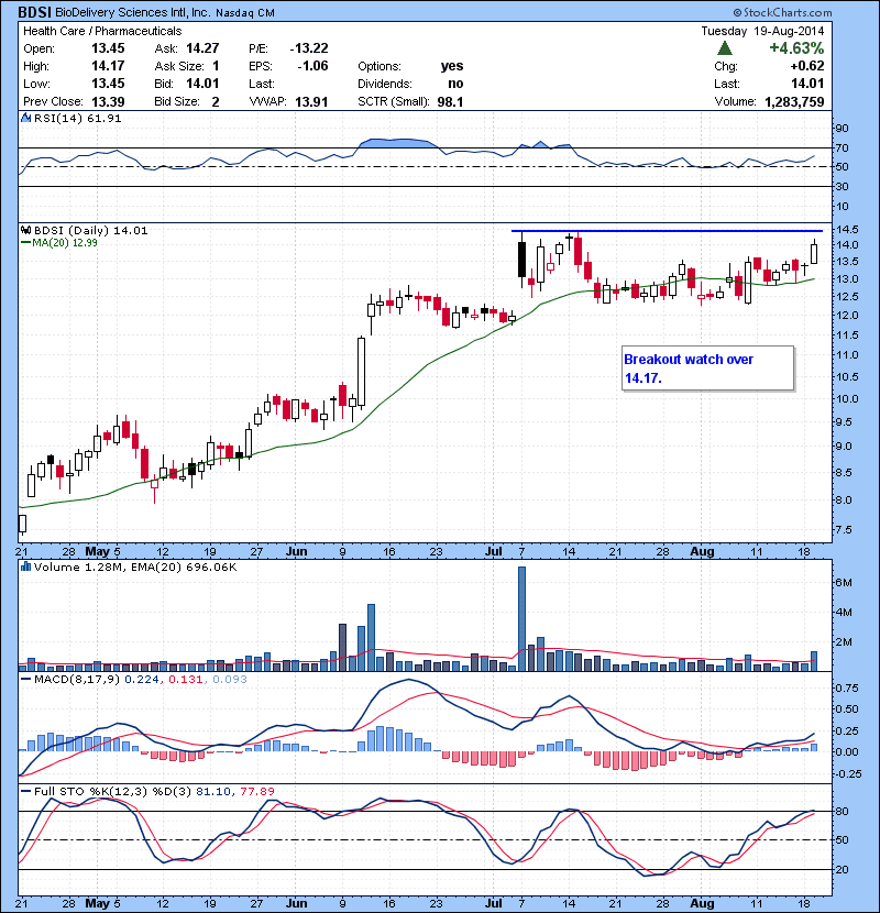 BDSI Breakout watch over 14.17.