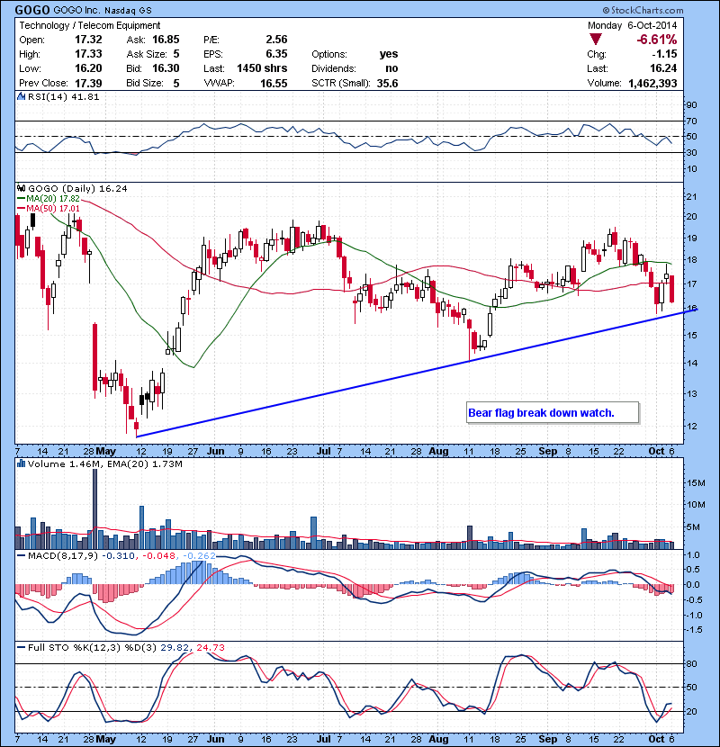 GOGO Bear flag break down watch.