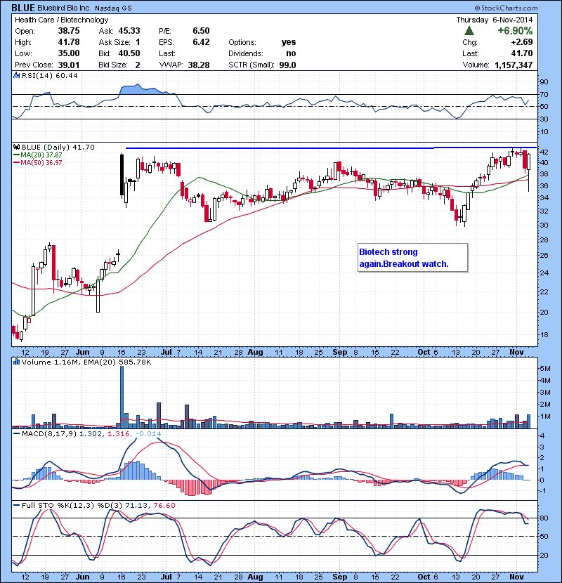 BLUE Biotech strong again. Breakout watch.