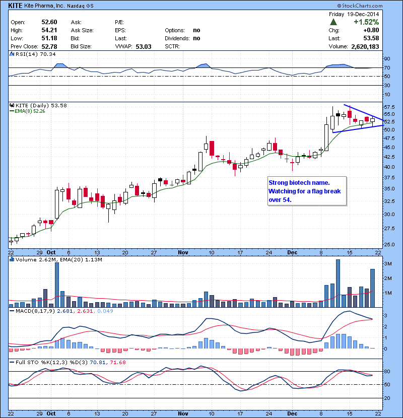 KITE Strong biotech name. Watching for a flag break over 54.