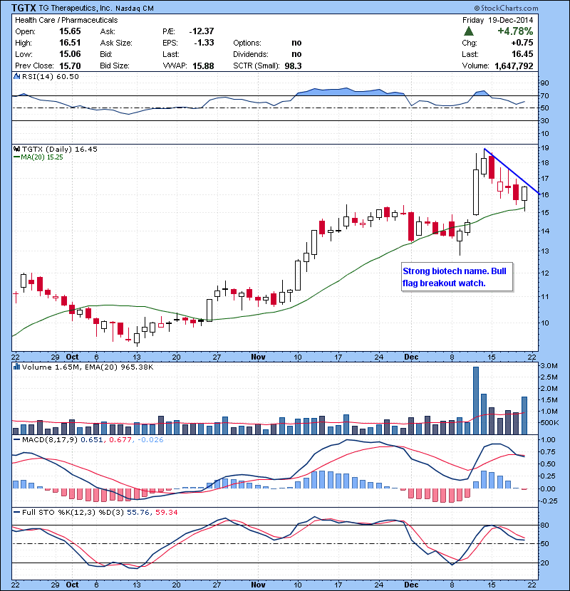 TGTX Strong biotech name. Bull flag breakout watch.