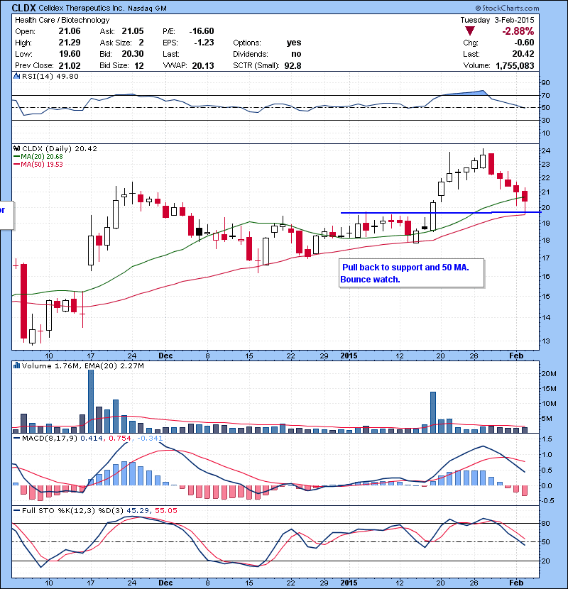 CLDX Pull back to support and 50 MA. Bounce watch.
