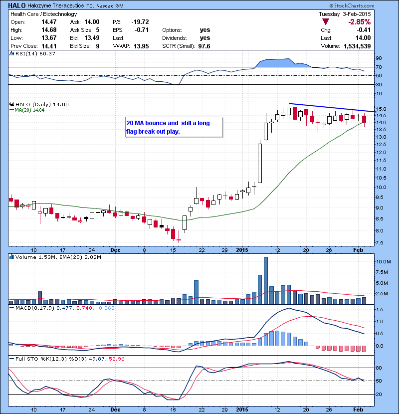 HALO 20 MA bounce and still a long flag break out play.