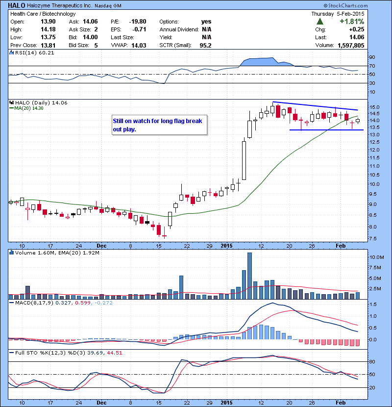 HALO Still on watch for long flag break out play.