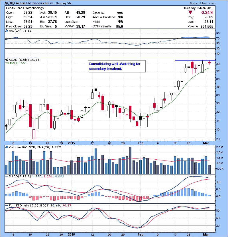 ACAD Consolidating well .Watching for secondary breakout.