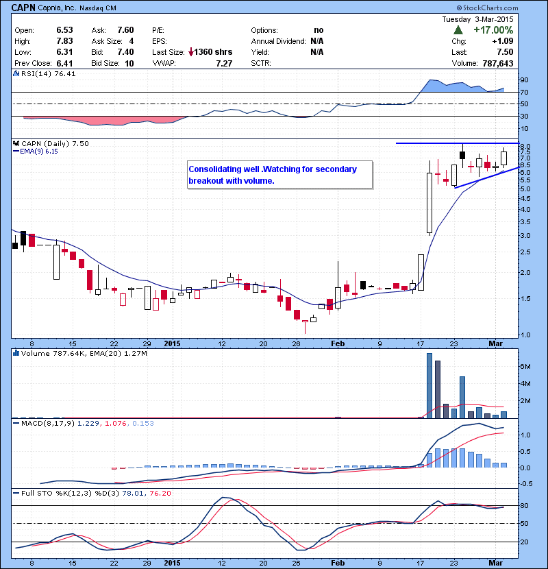 CAPN Consolidating well .Watching for secondary breakout with volume.