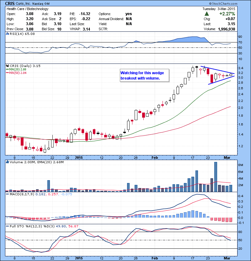 CRIS Watching for this wedge breakout with volume.