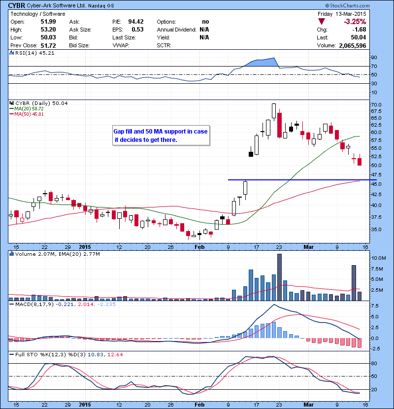 CYBR Gap fill and 50 MA support in case it decides to get there.
