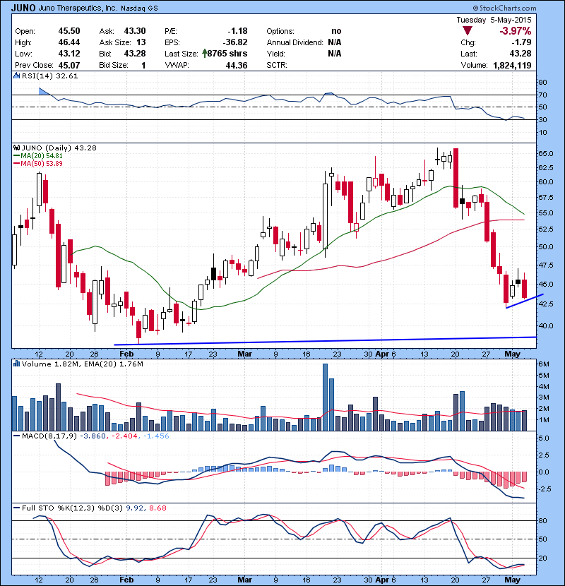 JUNO Bear flag setting up here.
