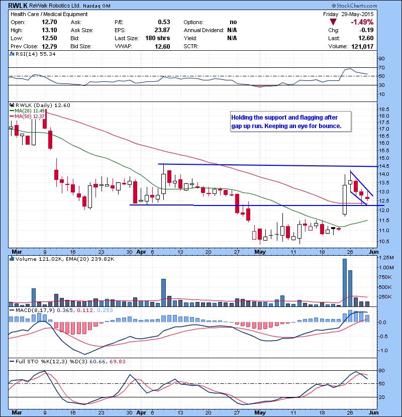 RWLK Holding the support and flagging after gap up run. Keeping an eye for bounce.