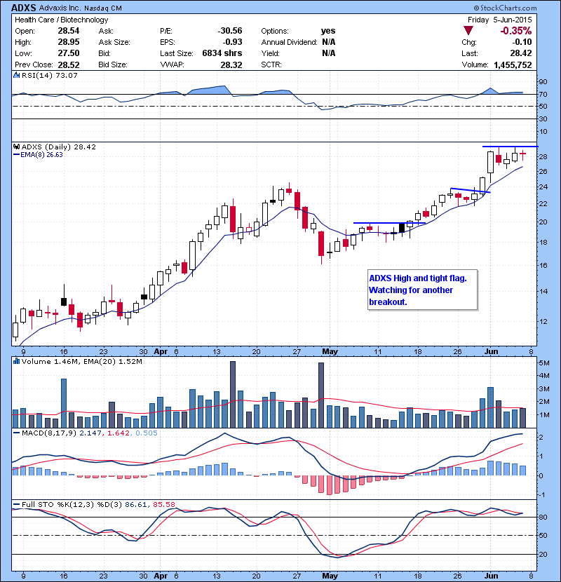 ADXS High and tight flag. Watching for another breakout.