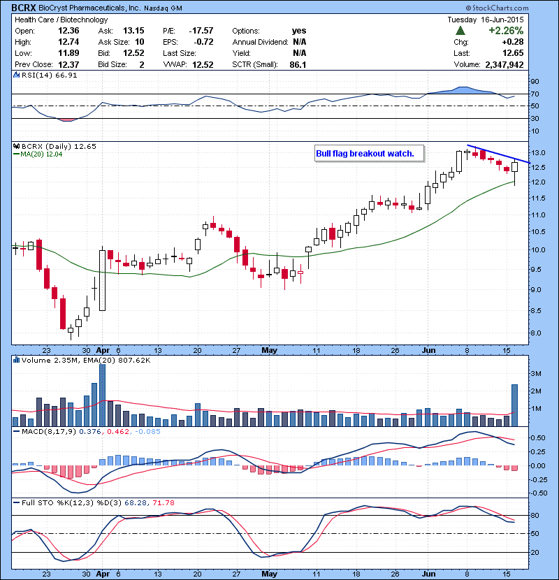 BCRX Bull flag breakout watch.