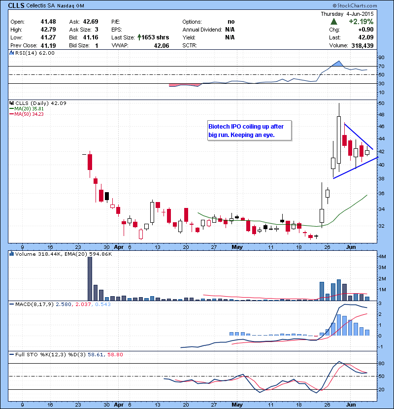 CLLS Biotech IPO coiling up after big run. Keeping an eye.