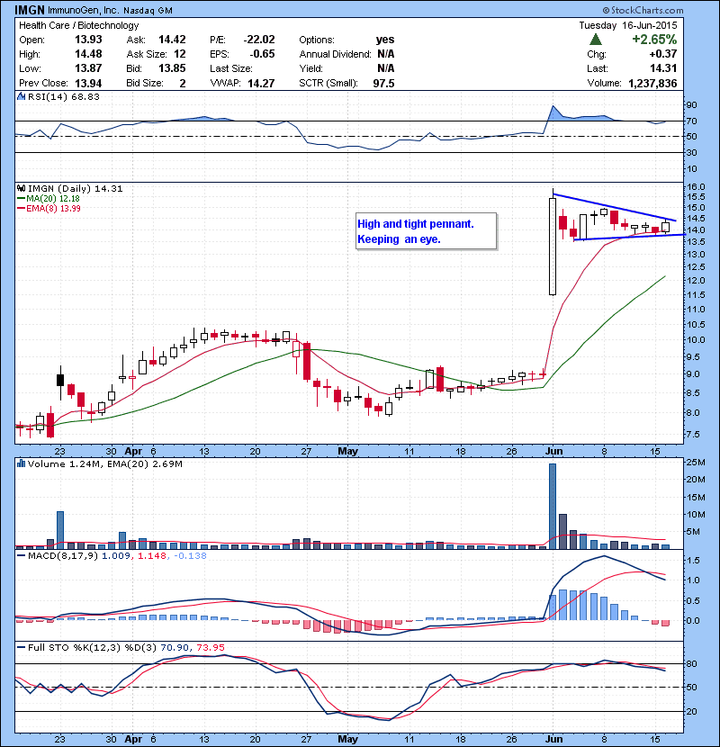 IMGN High and tight pennant. Keeping an eye.