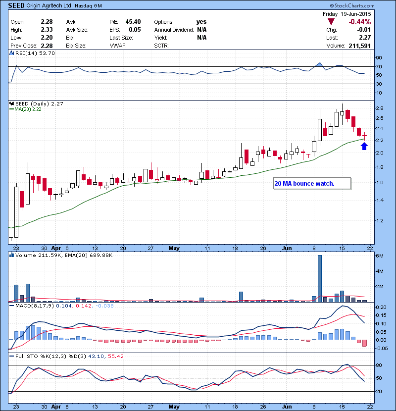 SEED 20 MA bounce watch.
