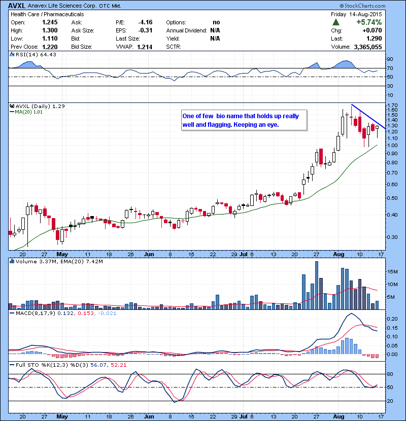 AVXl One of few bio name that holds up really well and flagging. Keeping an eye.