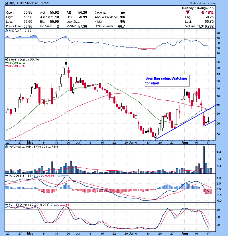 SHAK Bear flag setup. Watching for short.