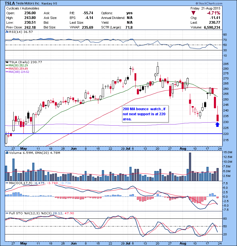 TSLA 200 MA bounce watch , if not next support is at 220 area.