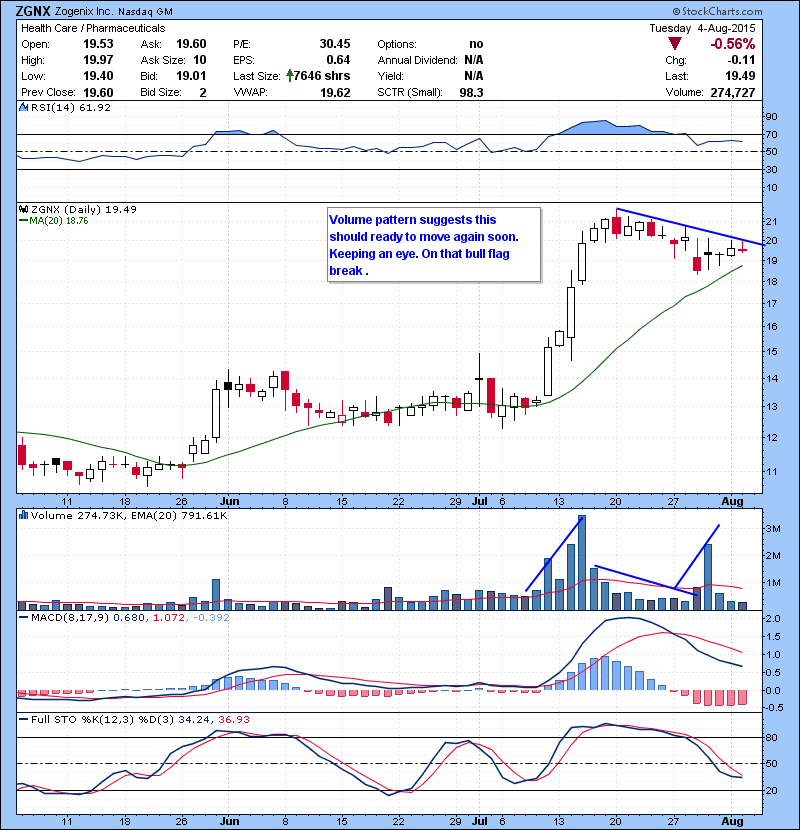 ZGNX Volume pattern suggests this should ready to move again soon. Keeping an eye. On that bull flag break .