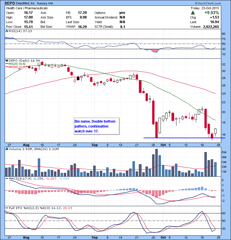 DEPO Bio name. Double bottom pattern, continuation watch over 17.
