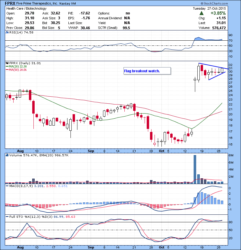 FPRX Flag breakout watch.
