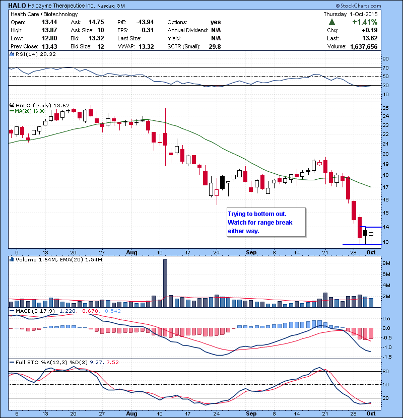 HALO Trying to bottom out. Watch for range break either way.