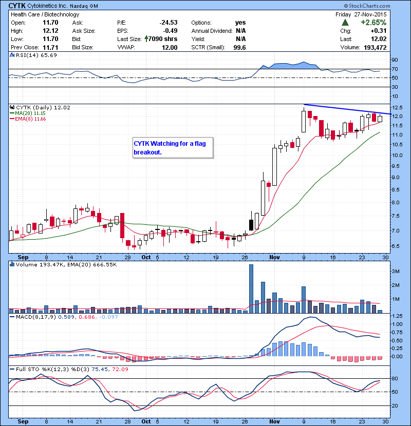 CYTK Watching for a flag breakout.