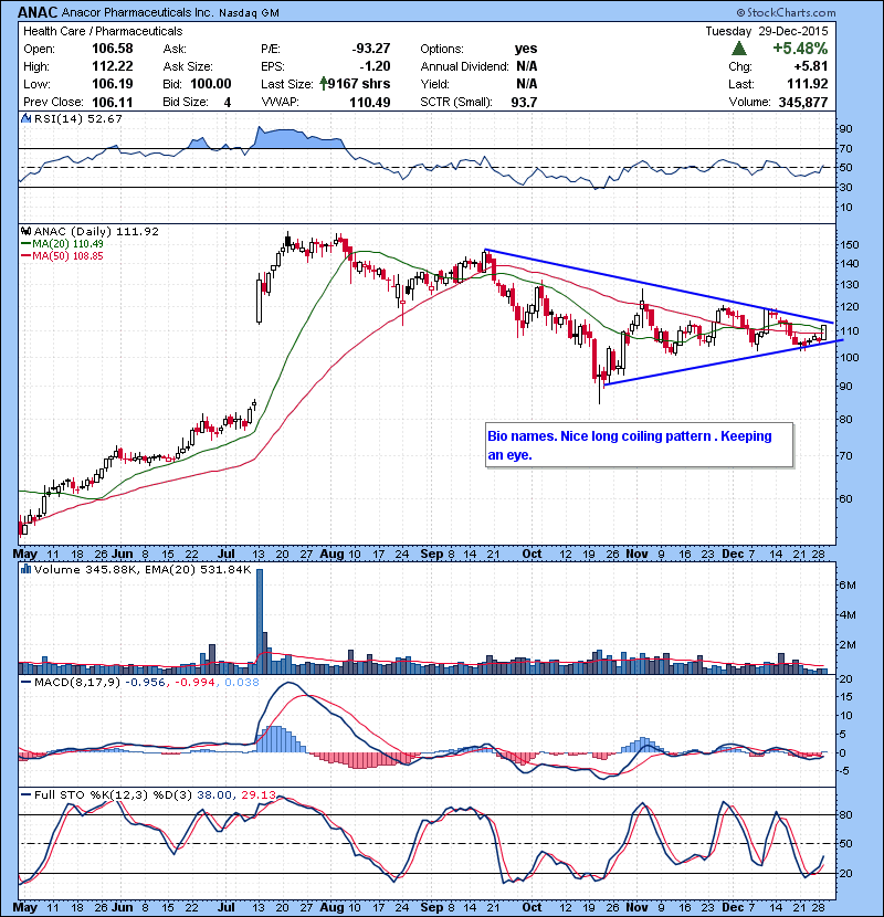 ANAC Bio name. Nice long coiling pattern . Keeping an eye.
