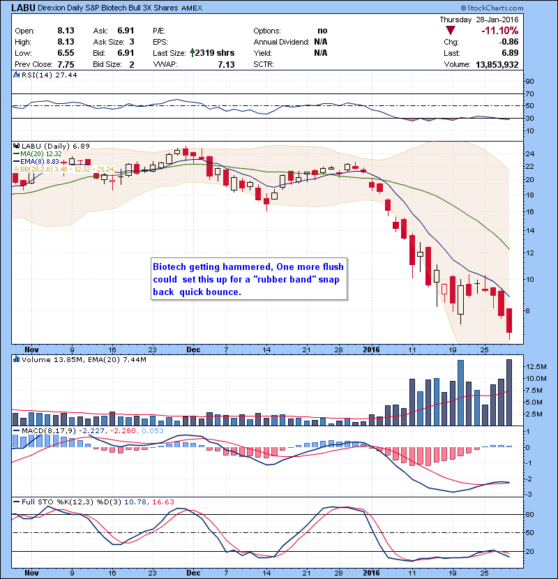 LABU Biotech getting hammered, One more flush could set this up for a “rubber band” snap back quick bounce.