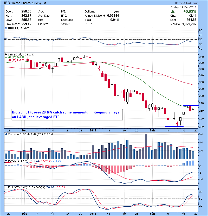 IBB Biotech ETF, over 20 MA catch some momentum. Keeping an eye on LABU , the leveraged ETF.
