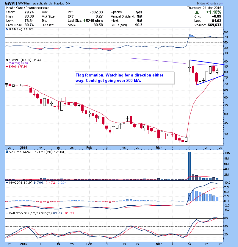 GWPH Flag formation. Watching for a direction either way. Could get going over 200 MA.