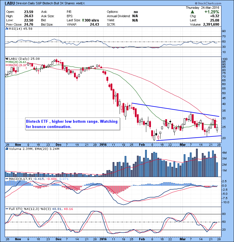 LABU Biotech ETF , higher low bottom range. Watching for bounce continuation.