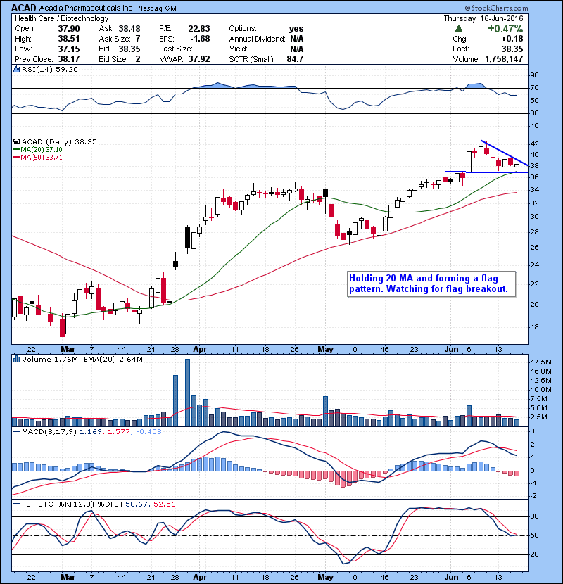 ACAD Holding 20 MA and forming a flag pattern. Watching for flag breakout.