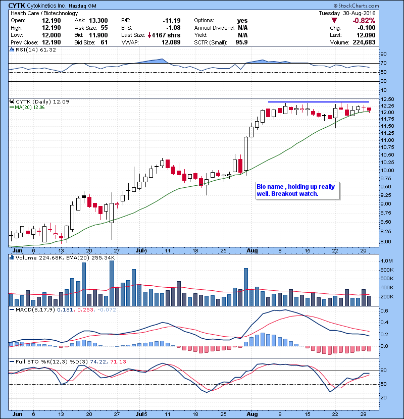 CYTK Bio name , holding up really well. Breakout watch. 