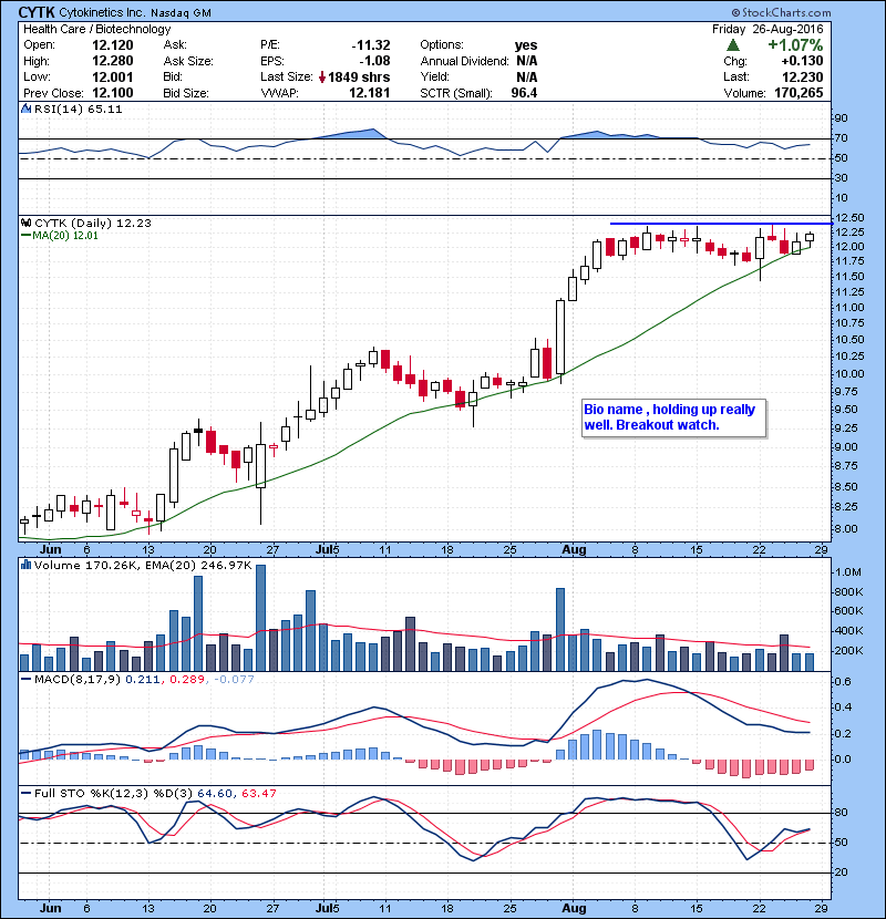 CYTK Bio name , holding up really well. Breakout watch. 