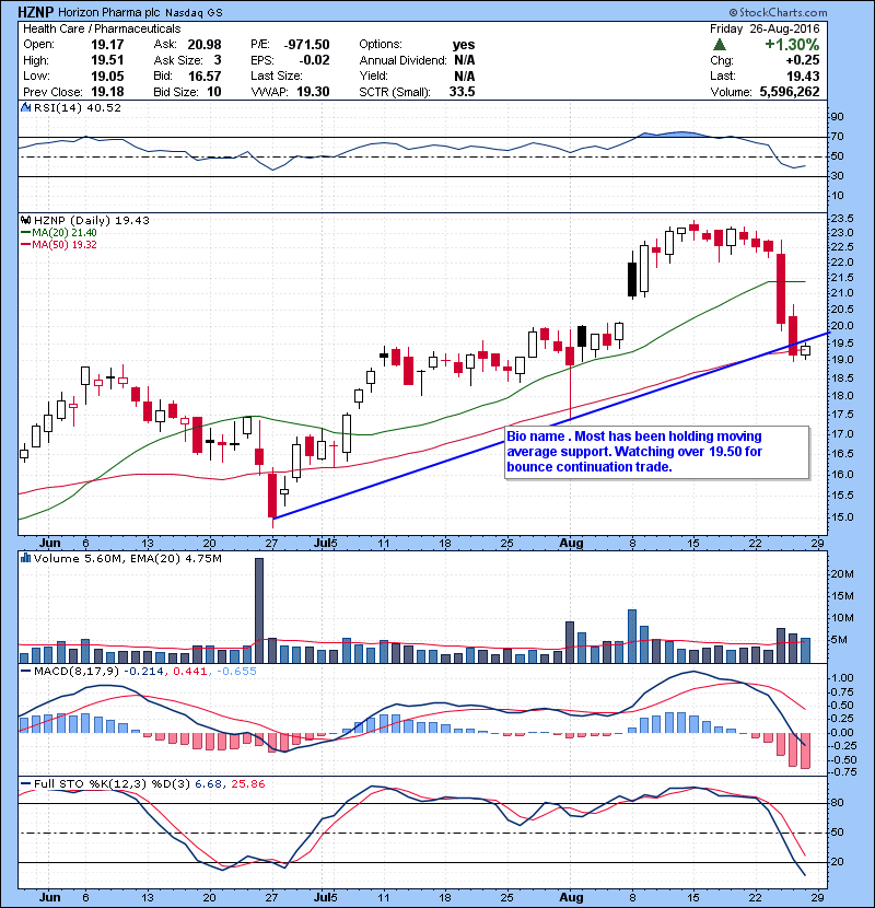 HZNP Bio name . Most has been holding moving average support. Watching over 19.50 for bounce continuation trade. 
