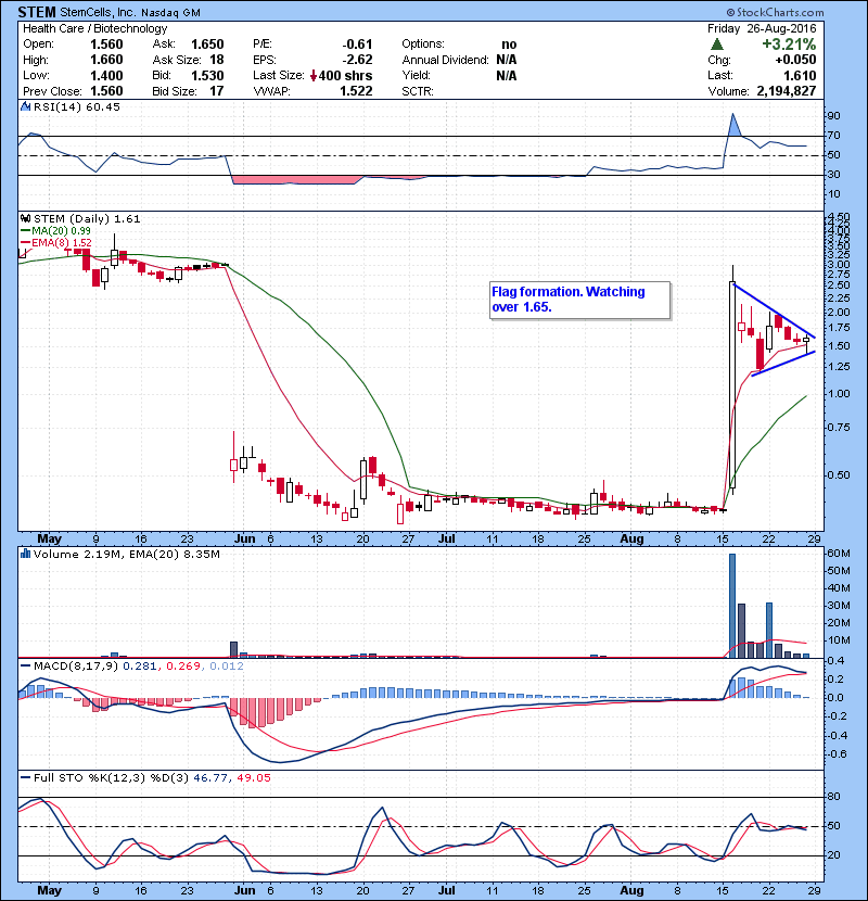 STEM Flag formation. Watching over 1.65.
