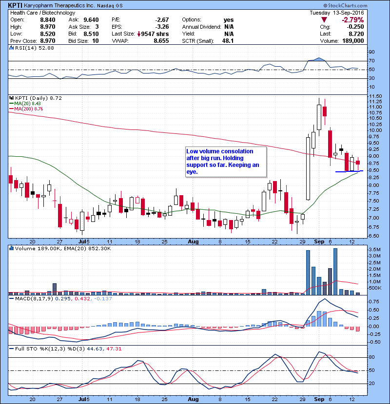 KPTI Low volume consolation after big run. Holding support so far. Keeping an eye.