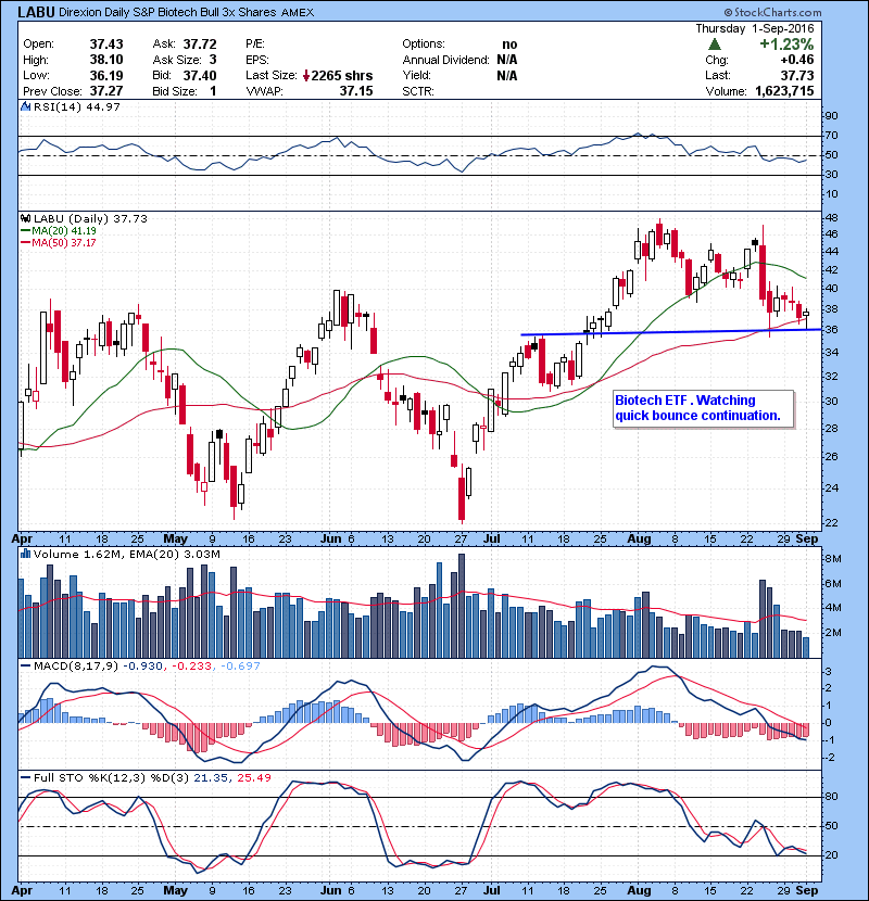 LABU Biotech ETF . Watching quick bounce continuation. 