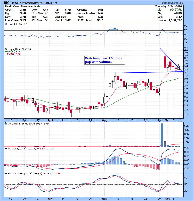 RIGL Watching over 3.50 for a pop with volume.