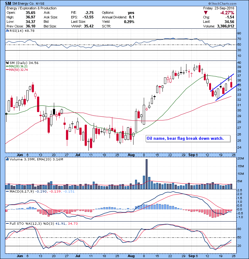 SM Oil name, bear flag break down watch.