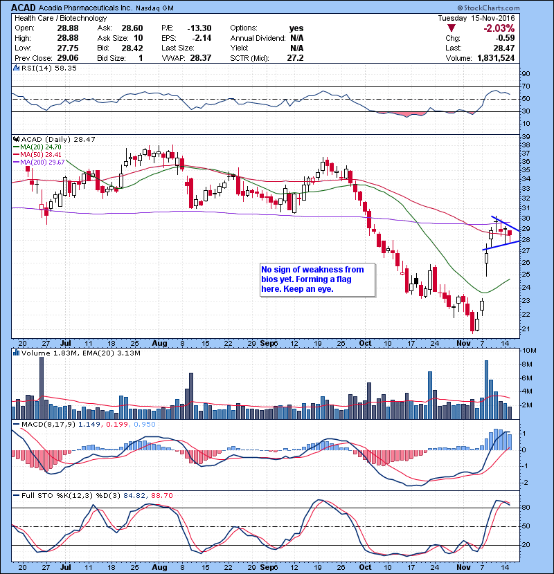 ACAD No sign of weakness from bios yet. Forming a flag here. Keep an eye.