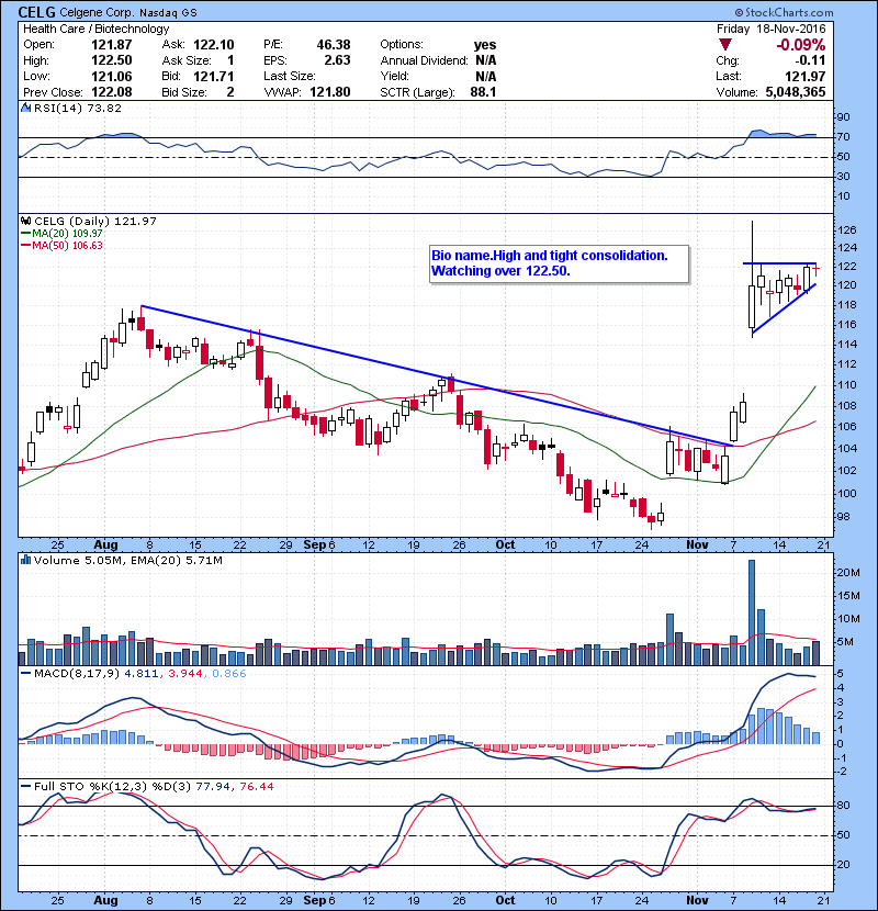 CELG Bio name.High and tight consolidation. Watching over 122.50.